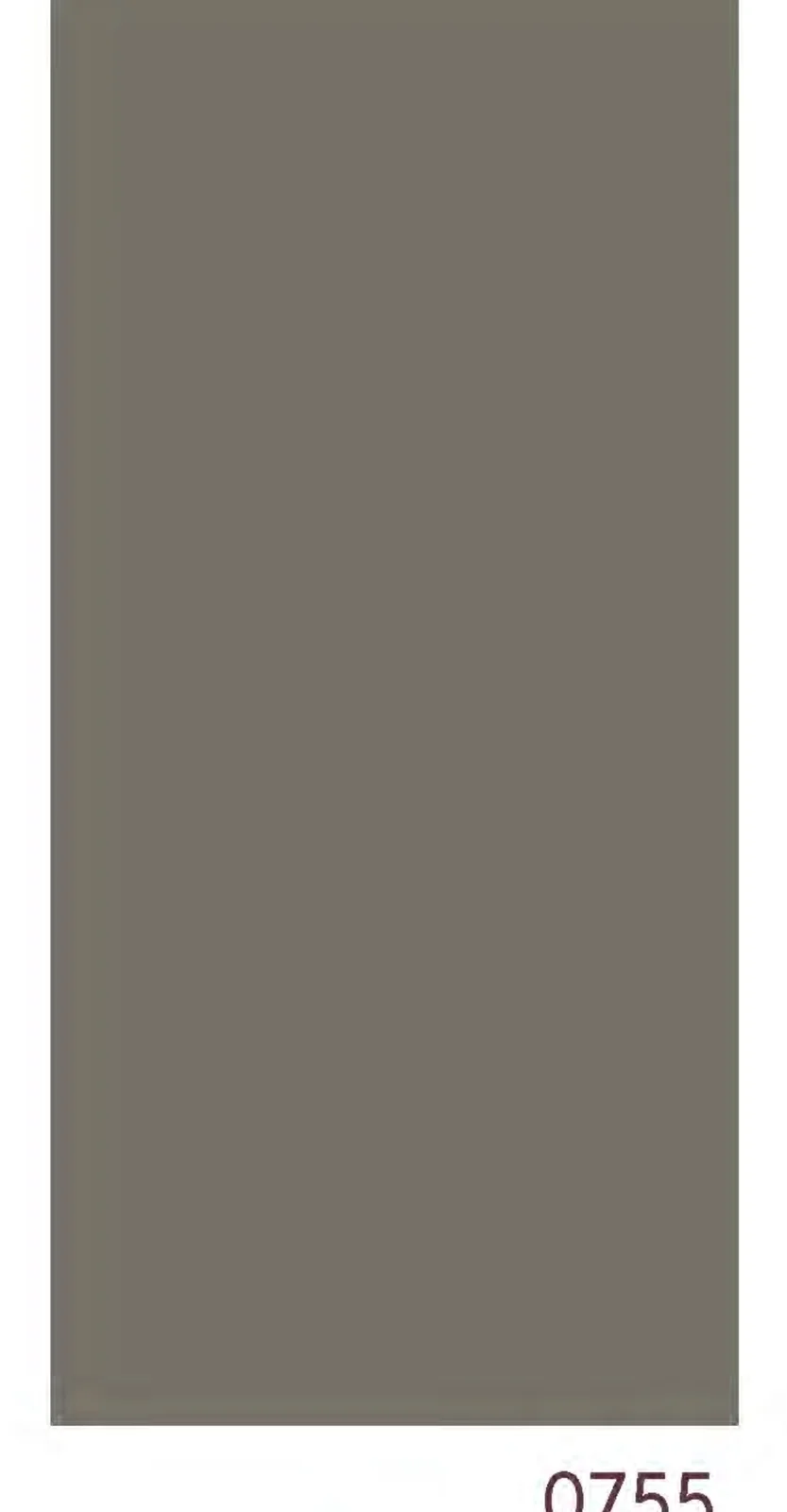 0755 Warm Grey Dark